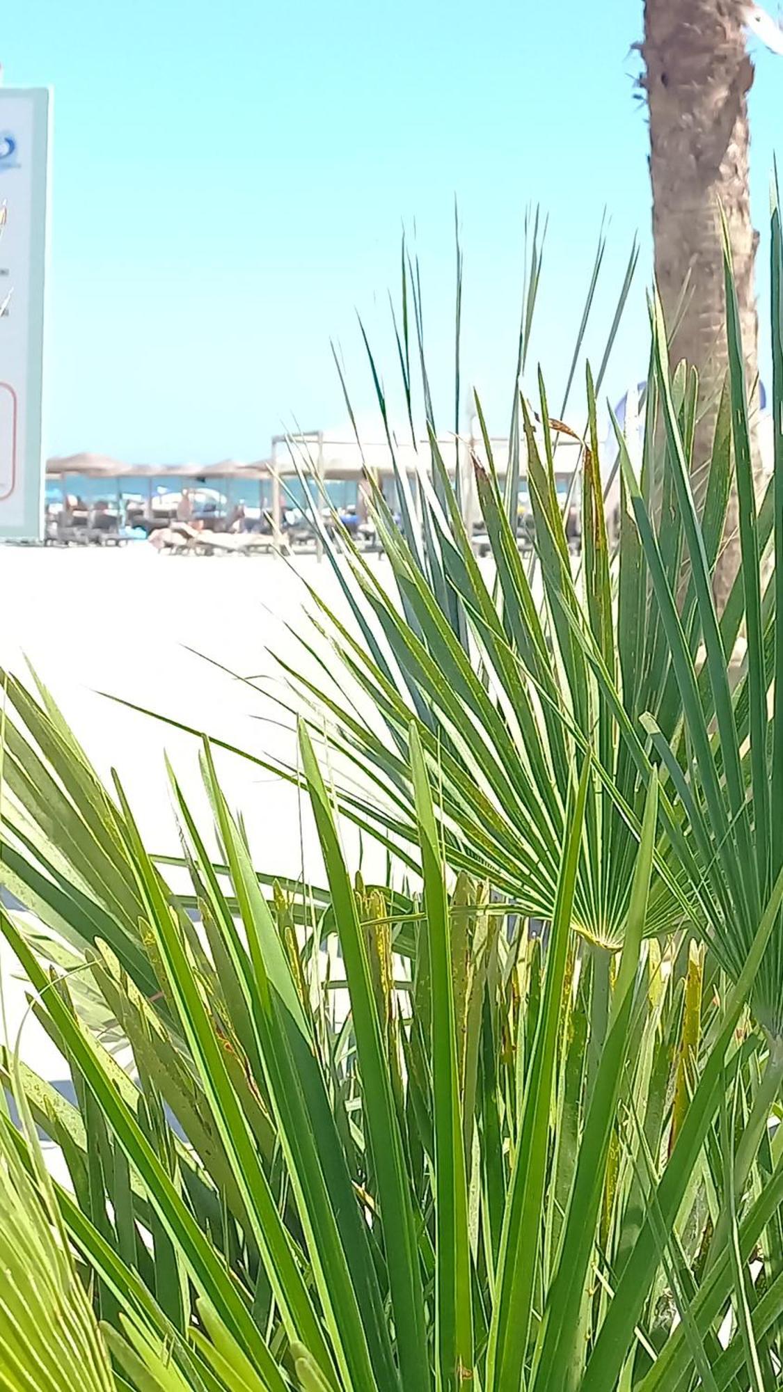 Luxury Promenada Apartment - Frontal Beachfront Mamaia Nord Navodari Dış mekan fotoğraf